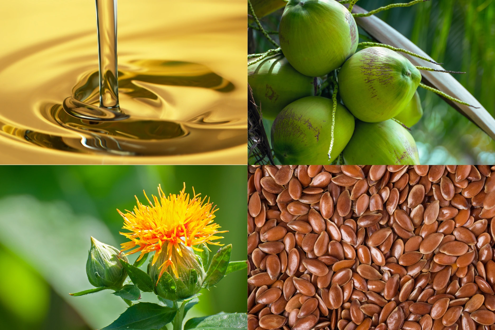 Bhaktinandan brand lifestyle photography — traditional oils, modern identity